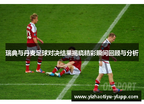 瑞典与丹麦足球对决结果揭晓精彩瞬间回顾与分析